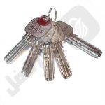 سیلندر اپارتمانی زایس تمام برنج طلایی - تصویر 3
